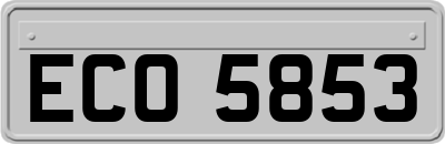 ECO5853