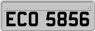 ECO5856