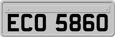ECO5860
