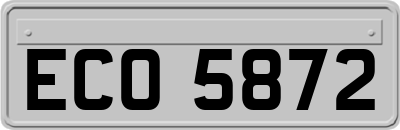 ECO5872