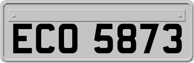 ECO5873