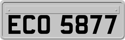 ECO5877