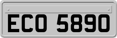 ECO5890