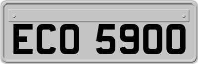 ECO5900