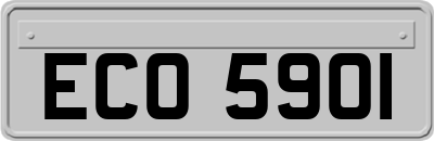 ECO5901
