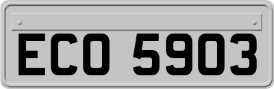 ECO5903