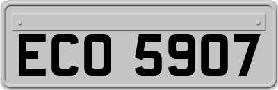 ECO5907