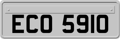 ECO5910