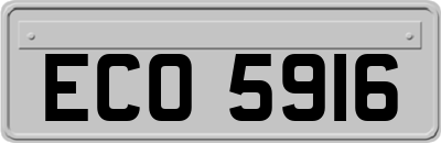 ECO5916