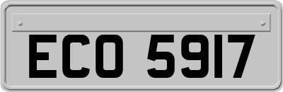 ECO5917