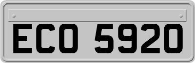 ECO5920