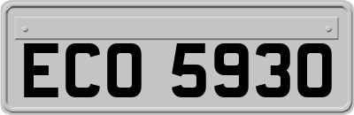 ECO5930