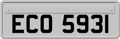 ECO5931
