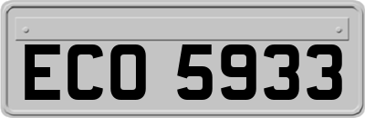 ECO5933