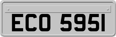 ECO5951