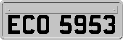 ECO5953