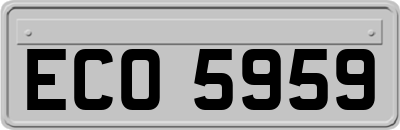 ECO5959