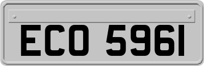 ECO5961