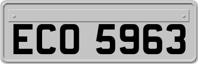 ECO5963