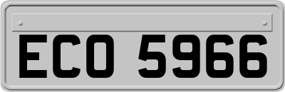 ECO5966