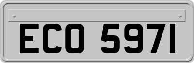 ECO5971
