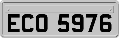 ECO5976