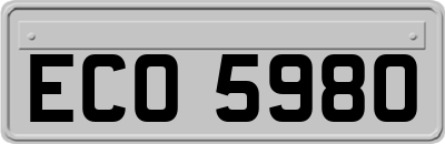 ECO5980