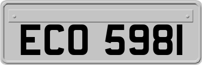 ECO5981