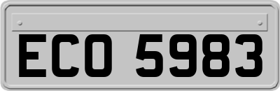 ECO5983