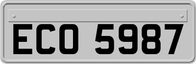 ECO5987