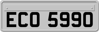 ECO5990