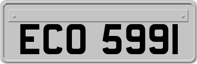 ECO5991