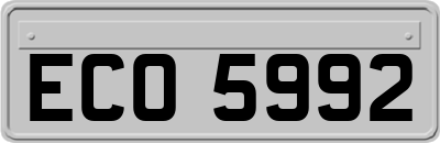 ECO5992