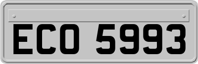 ECO5993