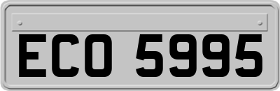 ECO5995