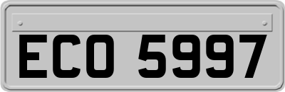 ECO5997