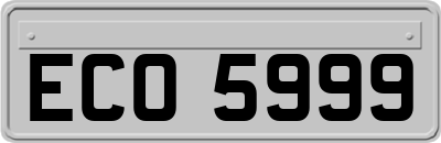 ECO5999