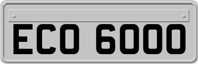 ECO6000