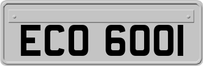 ECO6001