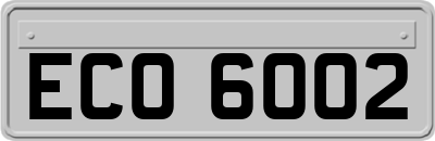 ECO6002