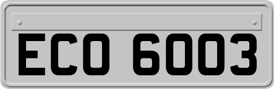 ECO6003