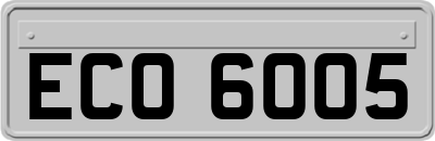 ECO6005