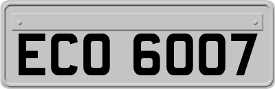 ECO6007