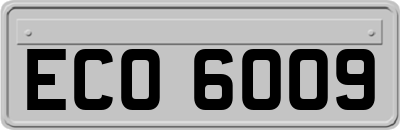 ECO6009