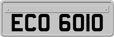 ECO6010