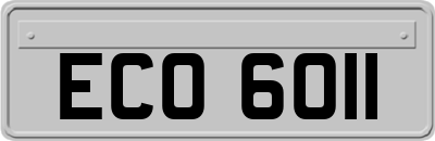 ECO6011