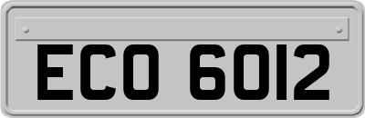ECO6012