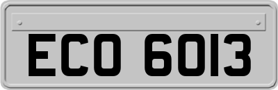 ECO6013