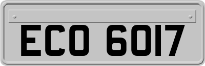 ECO6017