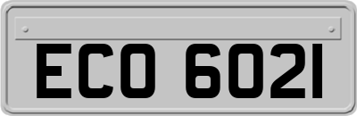 ECO6021